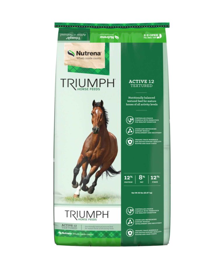 Triumph Active 12 Textured