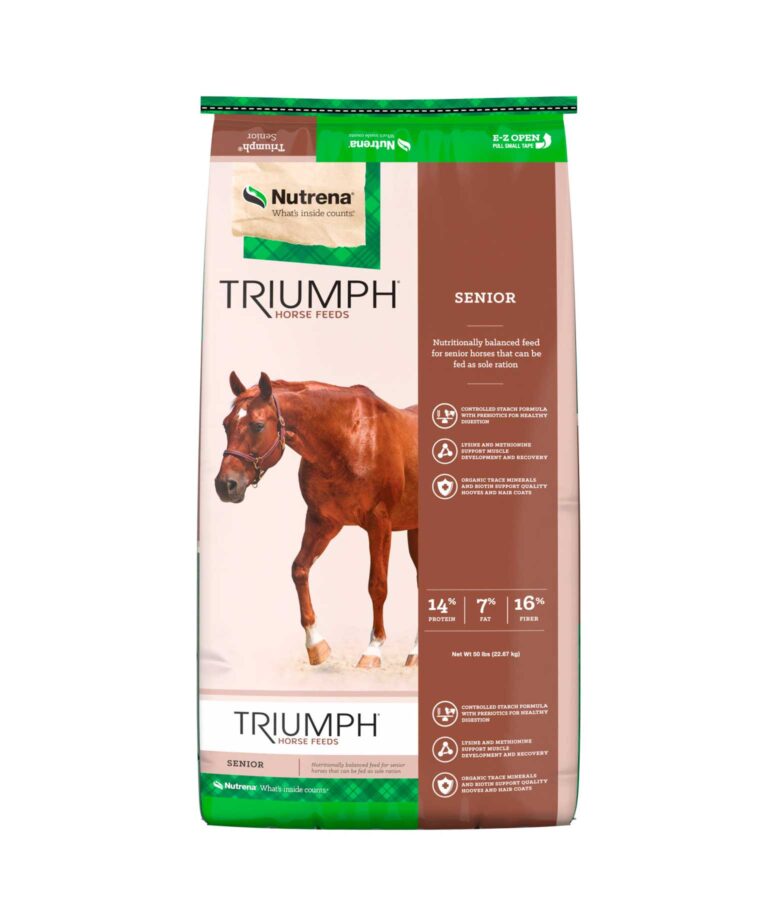 Triumph Senior