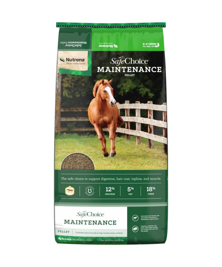 Safe Choice Maintenance
