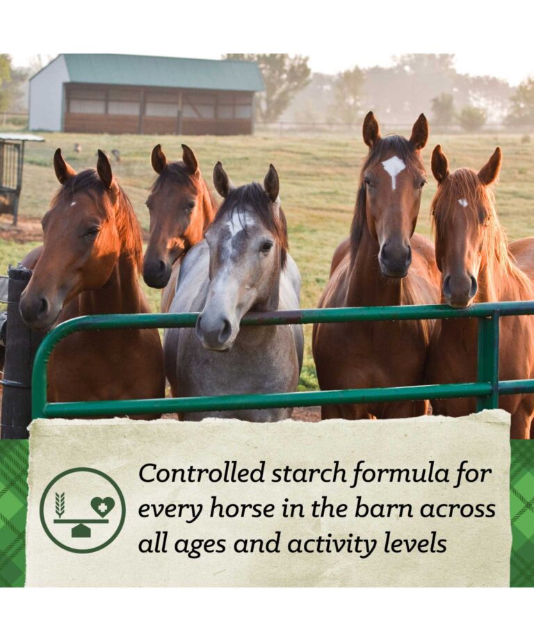 Safe Choice All Life Stages