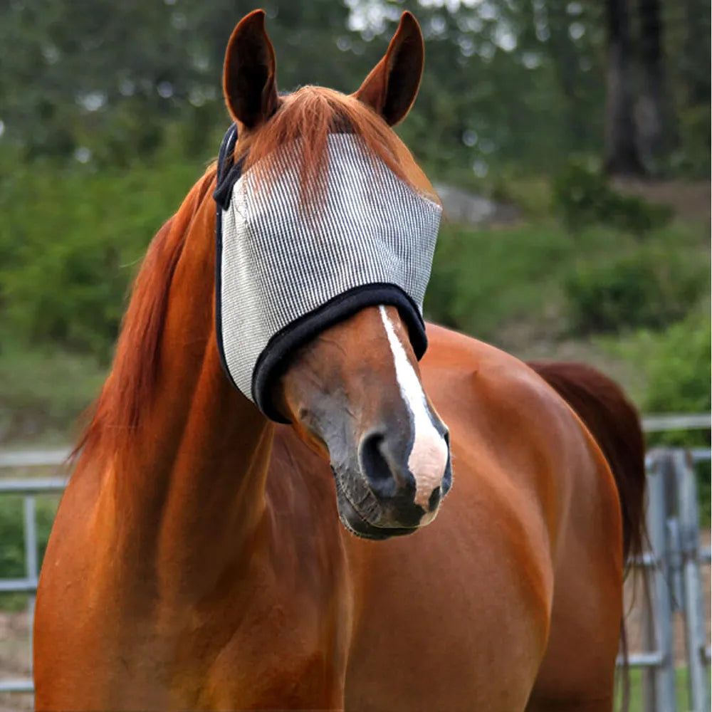 Dura Mask Equine Fly Mask Without Ears