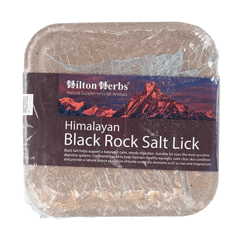 Himalayan Black Rock Salt Lick