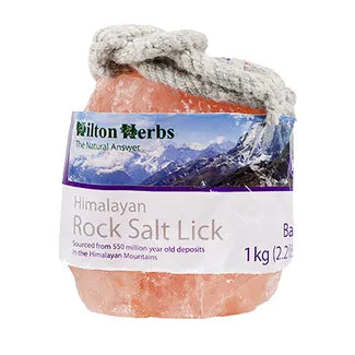 Himalayan Rock Salt Lick