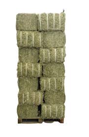 Premium Canadian 2nd Cutting Timothy – Compressed Mini Bale (40 lb)