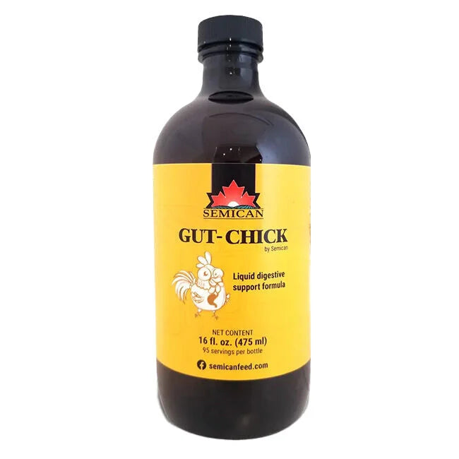 Semican Gut-Chick