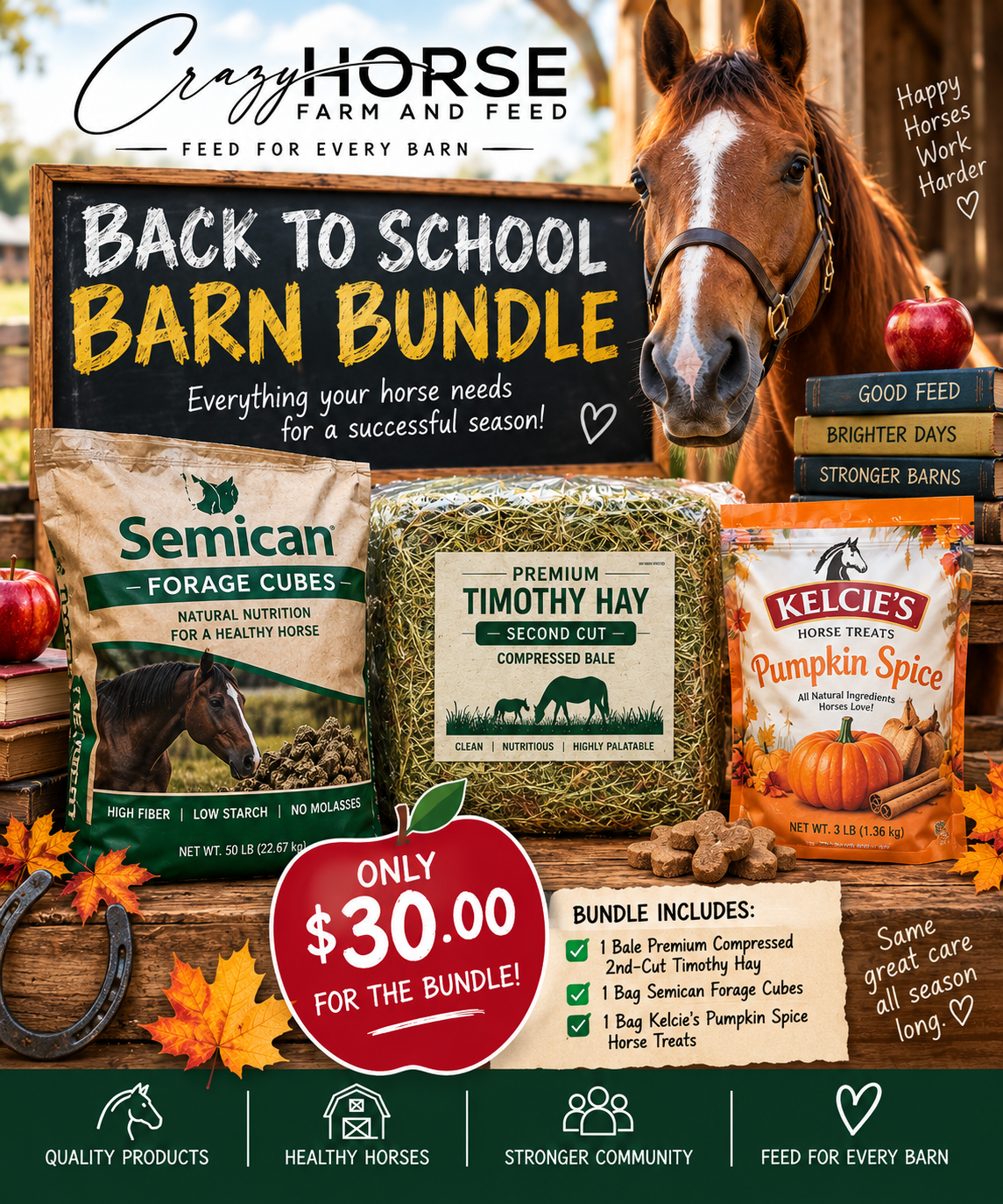 Back to School Bundle