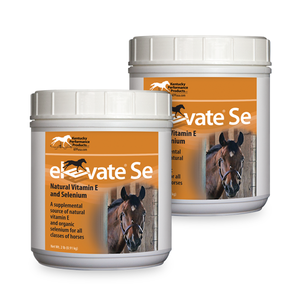 Elevate SE Powder