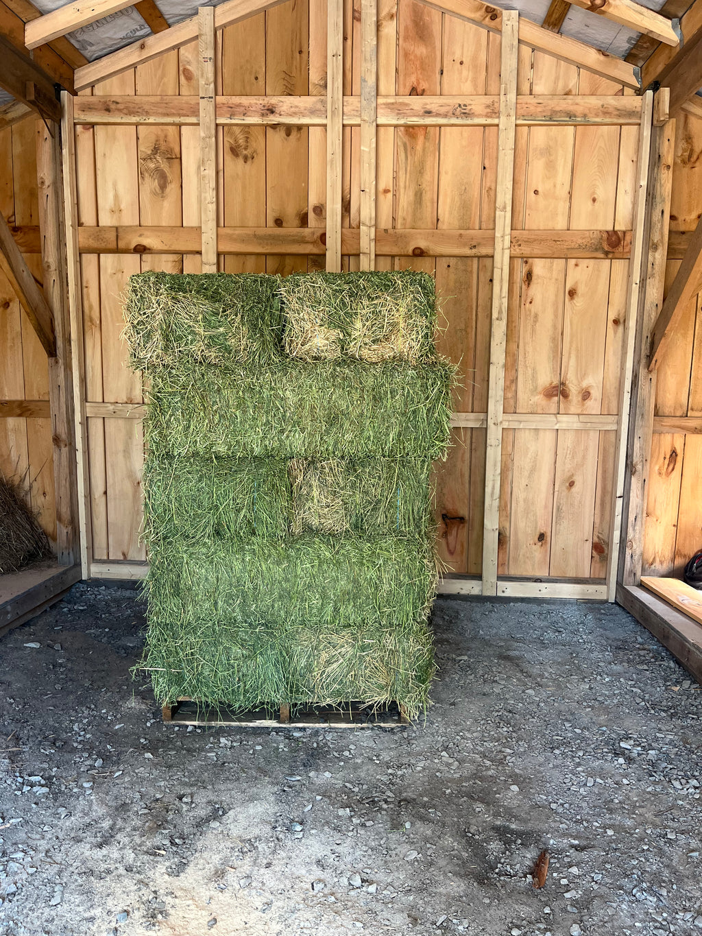 3 String Western Alfalfa