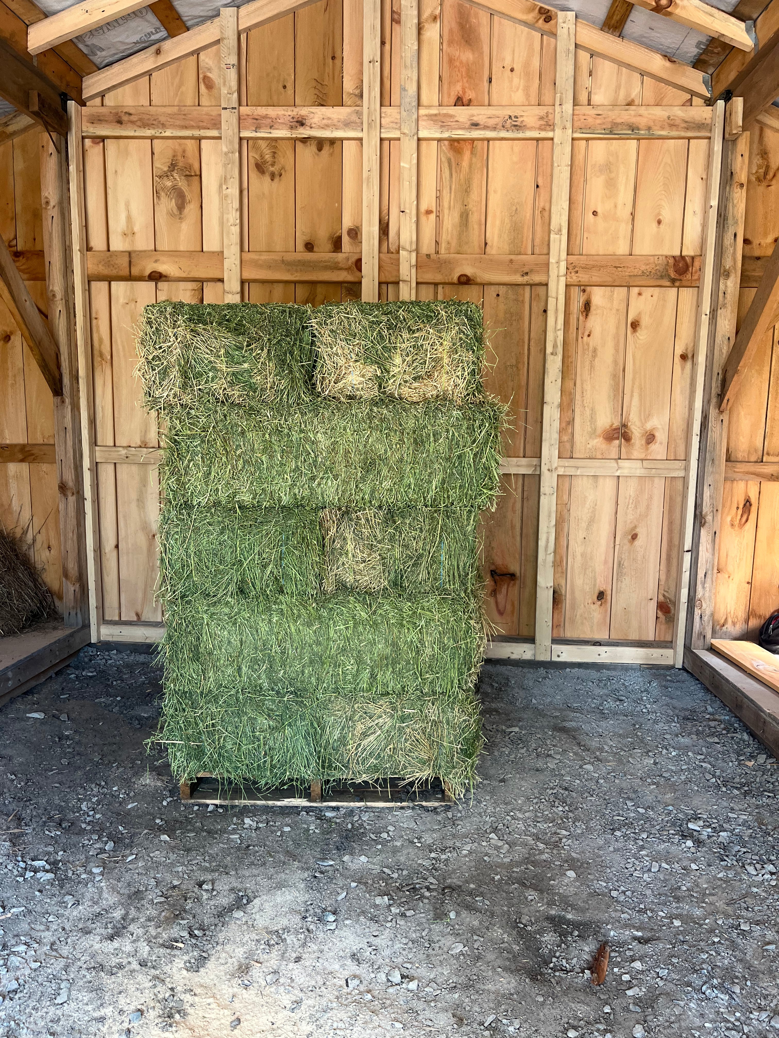 3 String Western Alfalfa
