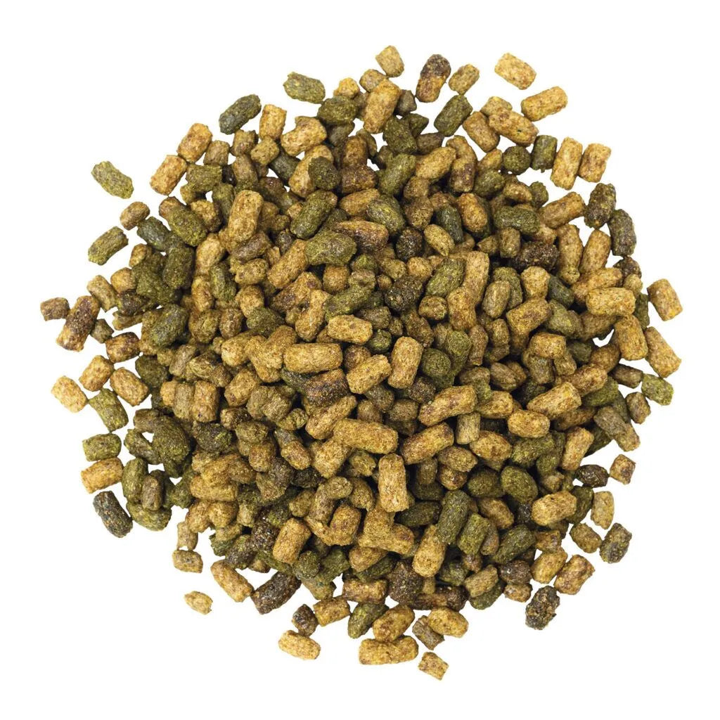 Sentinel Grow & Excel