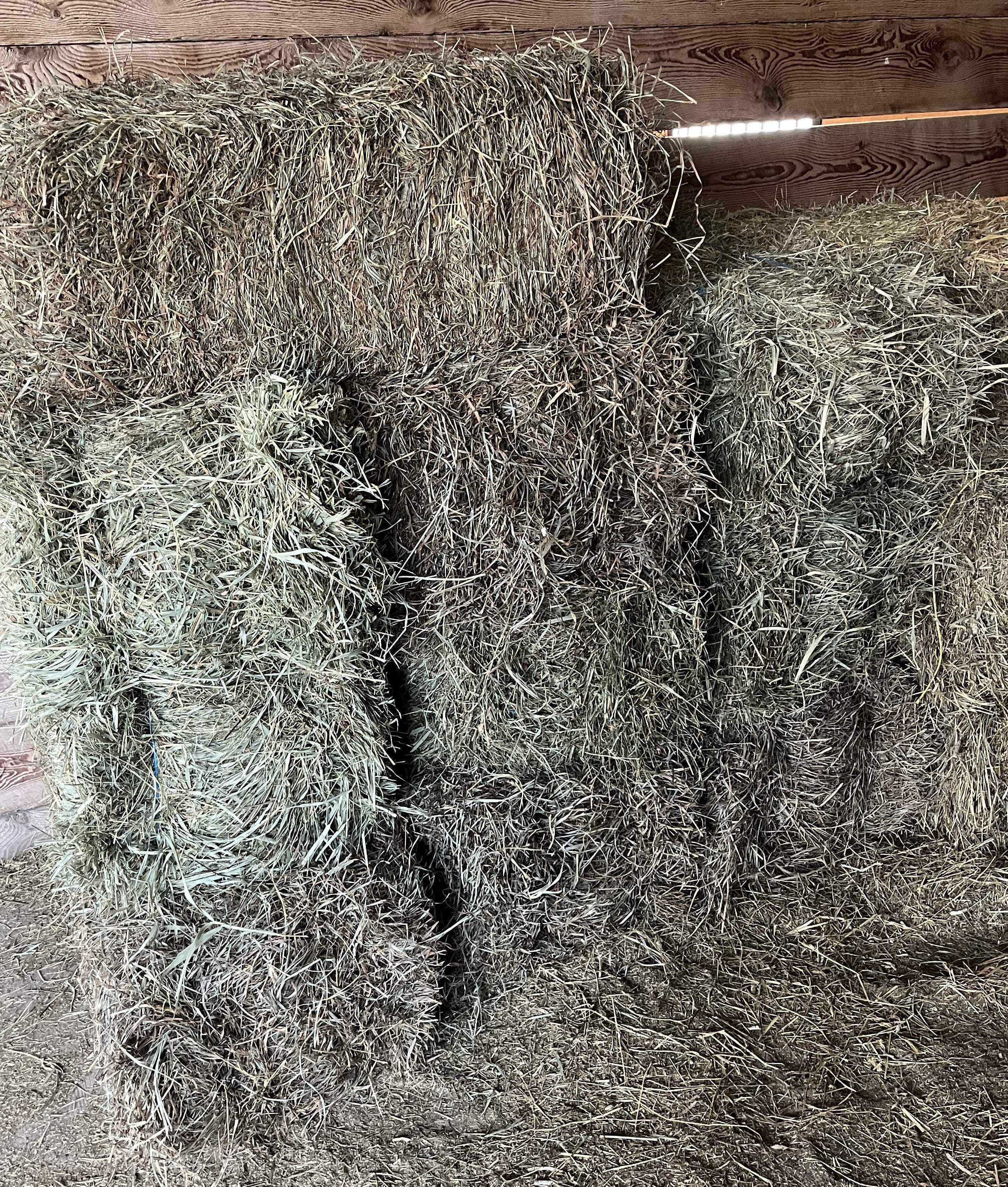 Local Second Cutting Grass Hay
