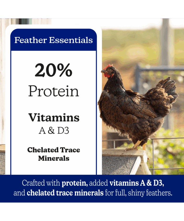 Feather Fixer 20% Protein Pellet