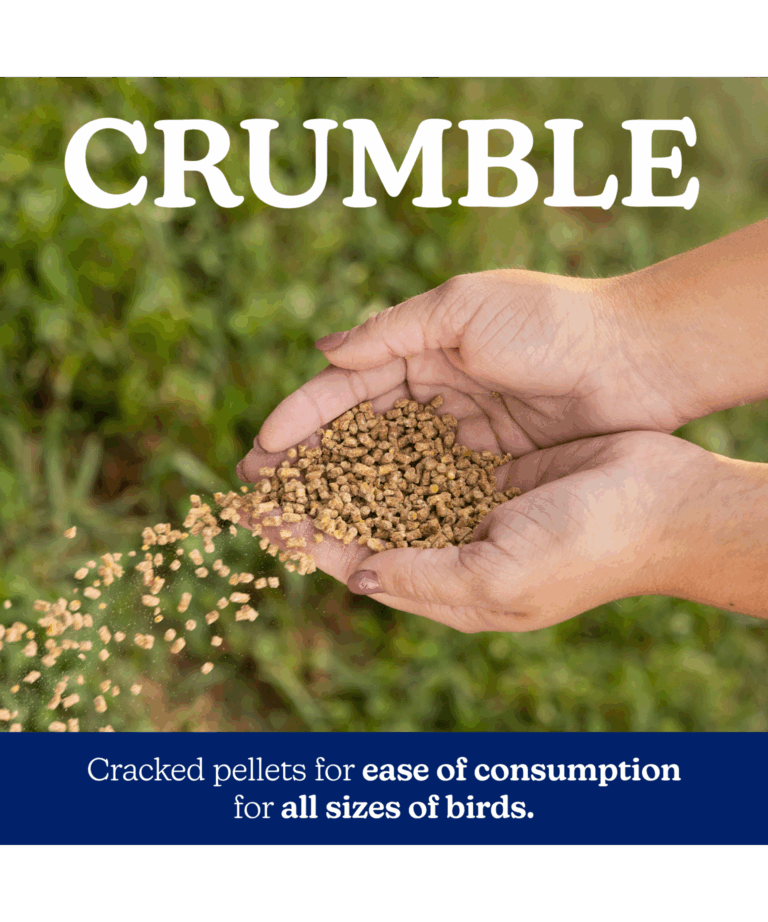 Nature Wise Meatbird Start to Finish 22% Protein Crumble