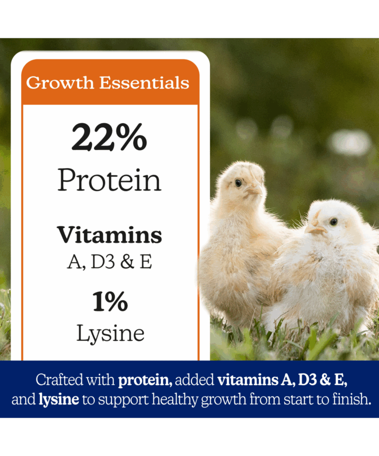 Nature Wise Meatbird Start to Finish 22% Protein Crumble