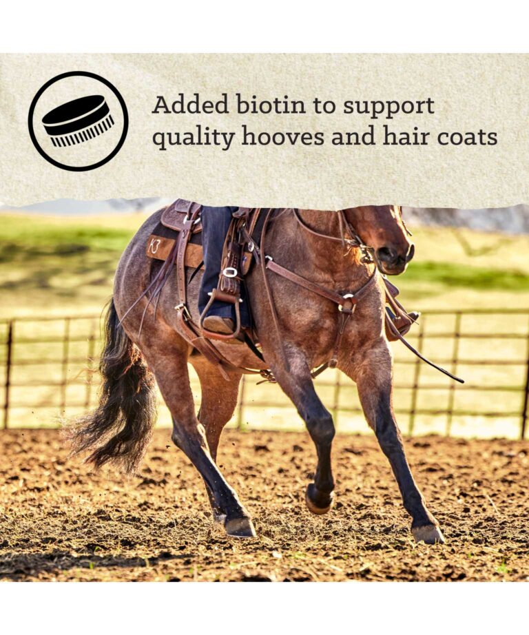 Triumph Professional Pellet Horse Feed 14%