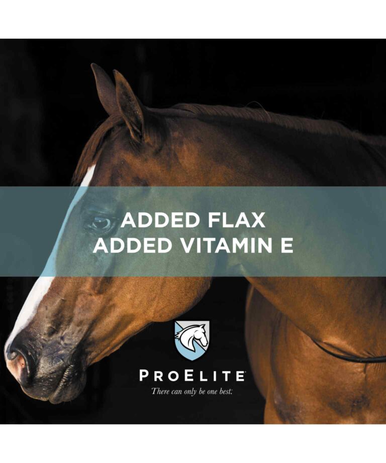 Omega Advantage ProElite Top Dress