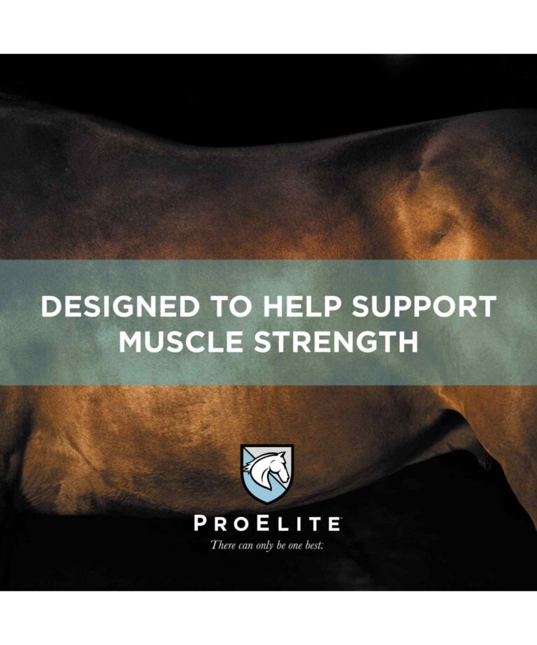 ProElite Performance