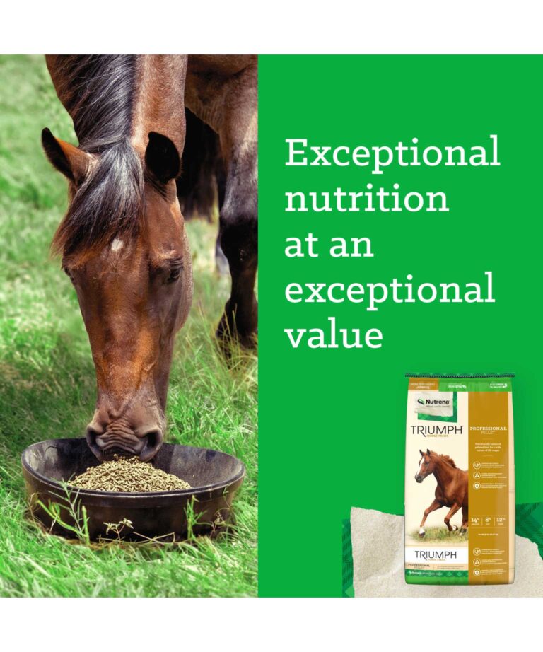 Triumph Professional Pellet Horse Feed 14%
