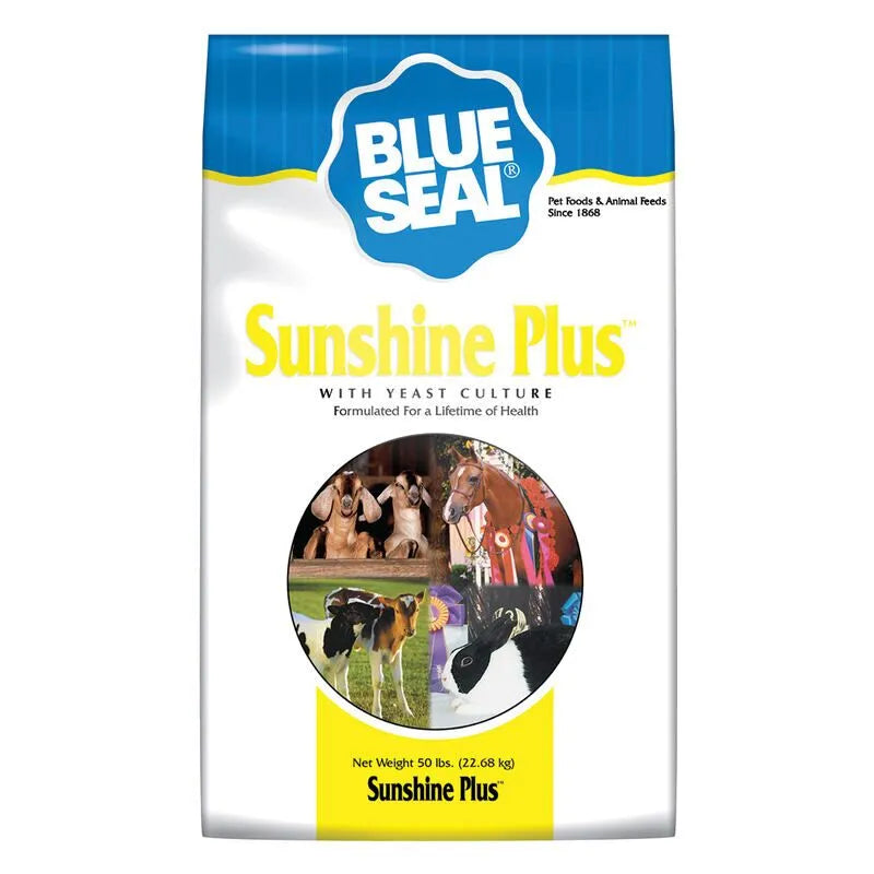 Sunshine Plus