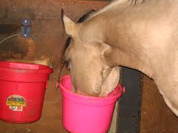 5 Qt DuraFlex Round Bucket