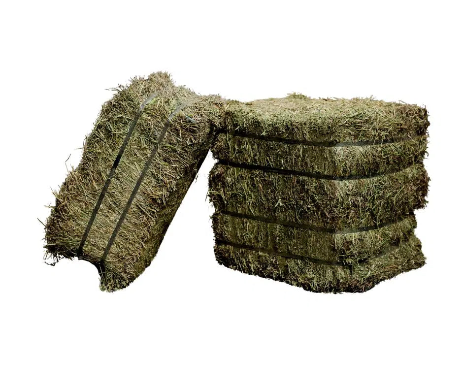 Premium First-Cutting Compressed Canadian Timothy Hay-40 lb bale