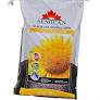 Semican Black Oil Sunflower Seeds