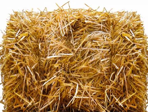 Local Wheat Straw