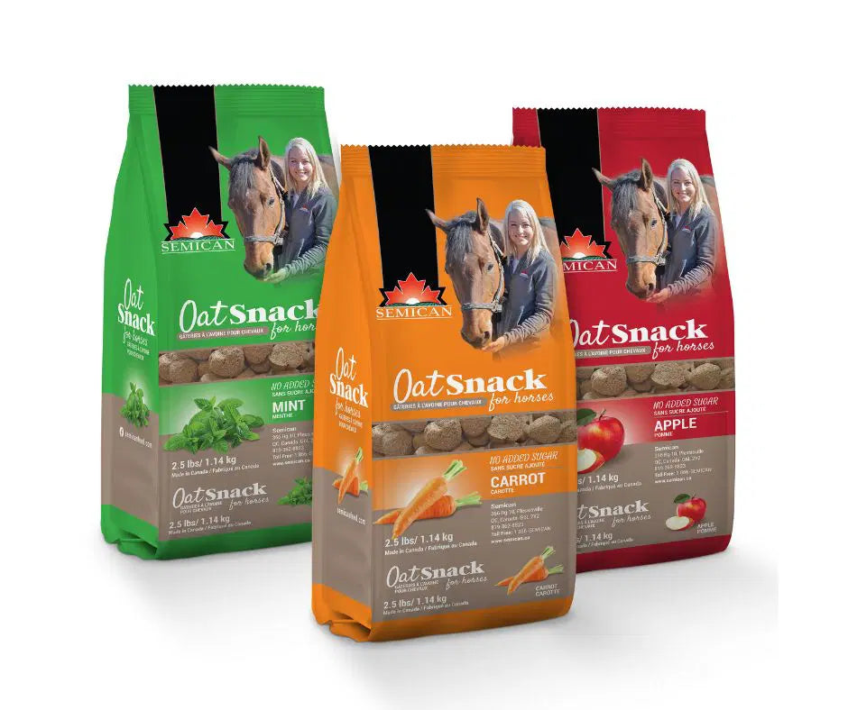 Apple Oat Snacks by Semican